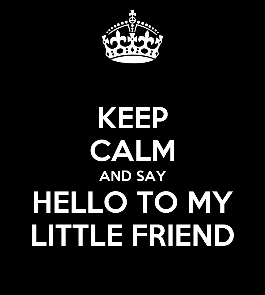 Keep calm and say hello to my little friend